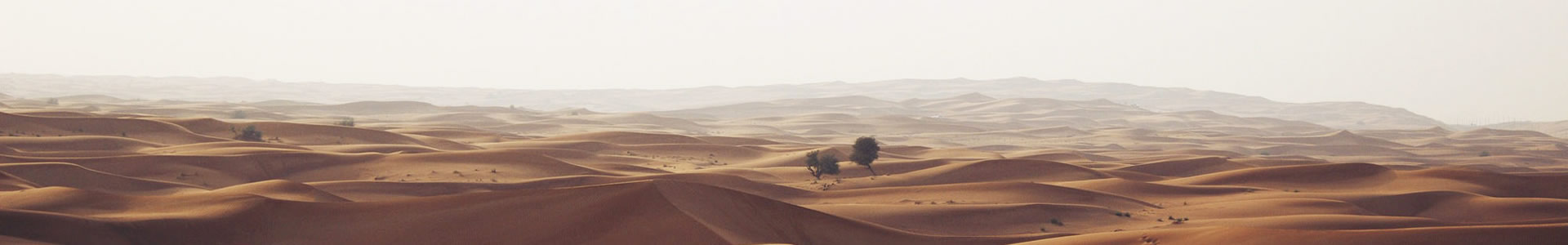 ظ޹˾